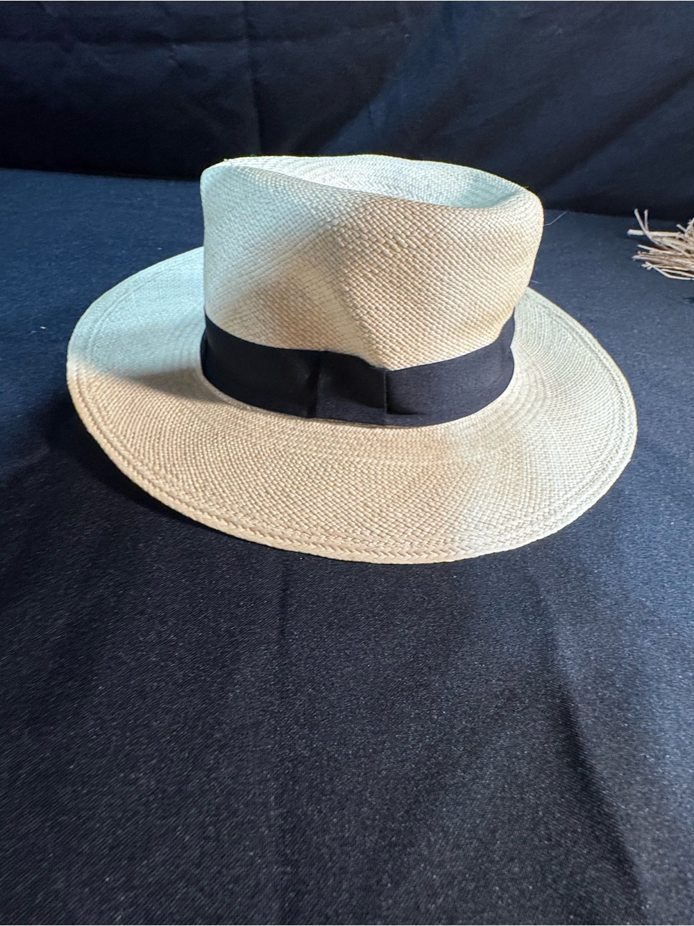 J. Crew Natural Woven Straw Panama Hat